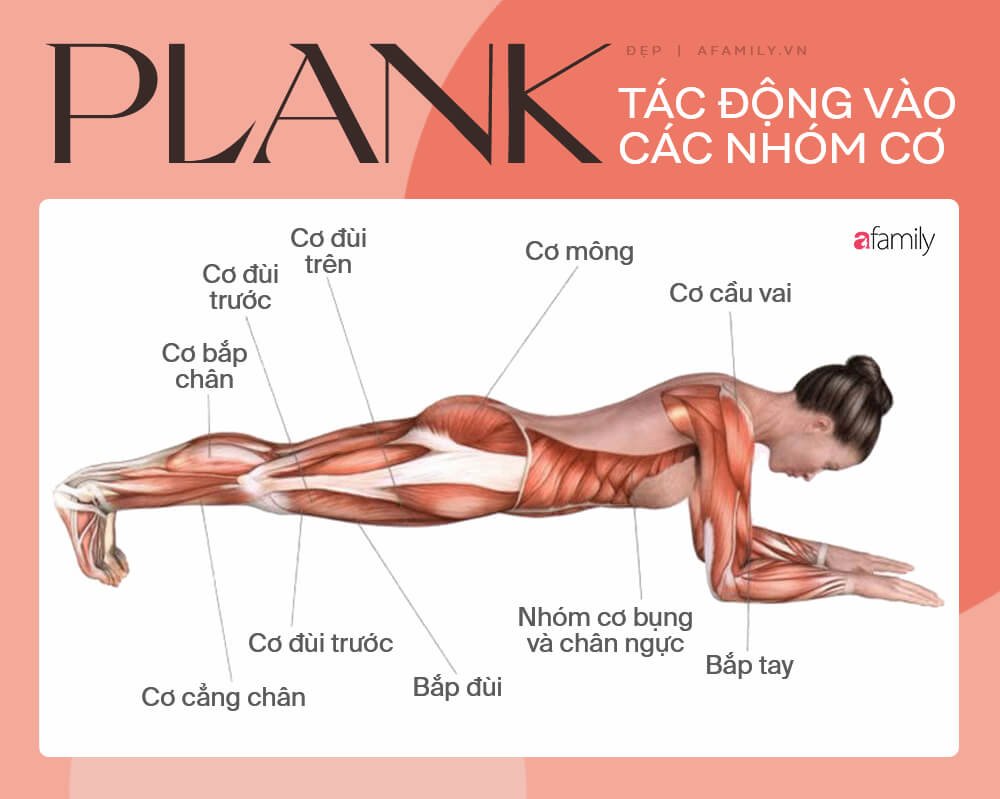 Tác động của Plank