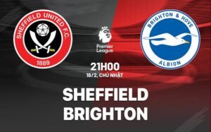 Nhận định, soi kèo Sheffield vs Brighton ngày 18/02/2024