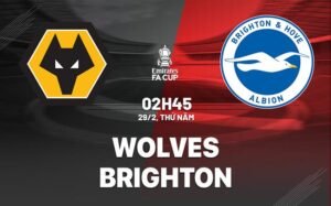 Nhận định, soi kèo Wolves vs Brighton ngày 29/02/2024