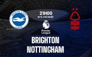 Nhận định, soi kèo Brighton vs Nottingham Forest ngày 10/03/2024